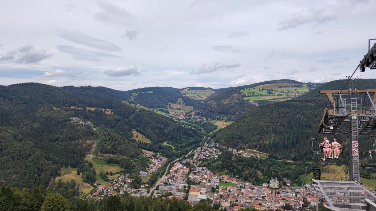 Am Berg Appartement Feldberg  Buitenkant foto