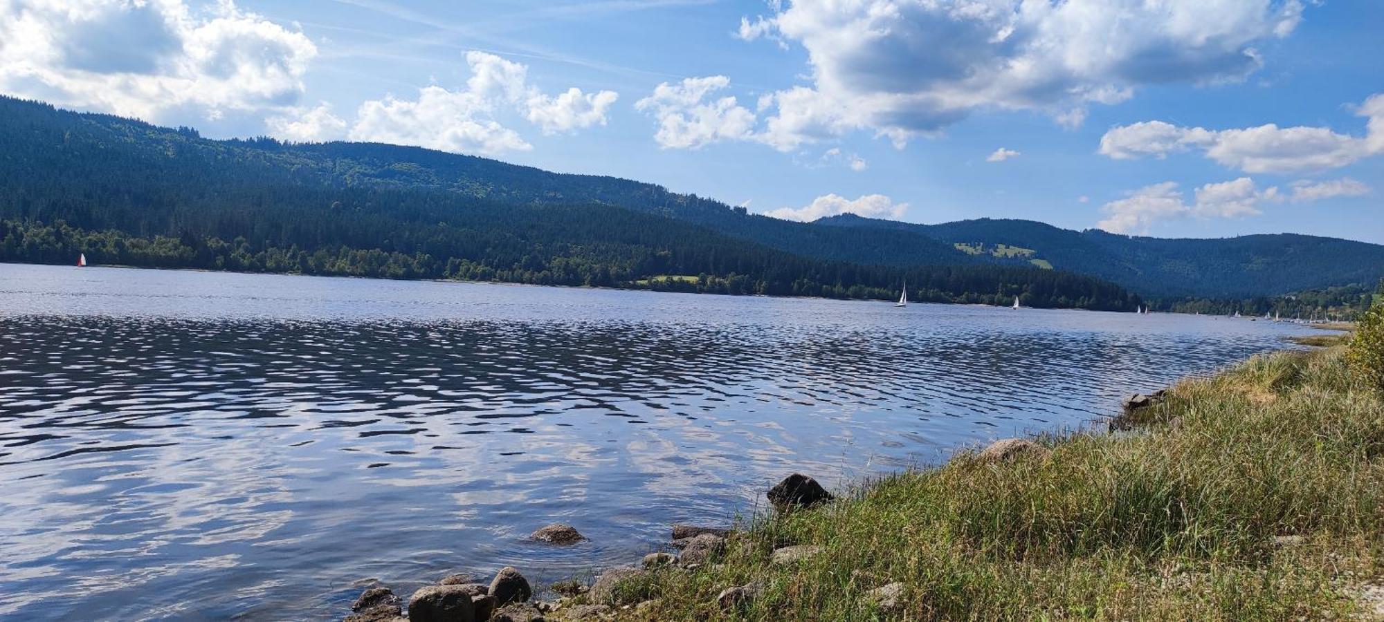 Am Berg Appartement Feldberg  Buitenkant foto