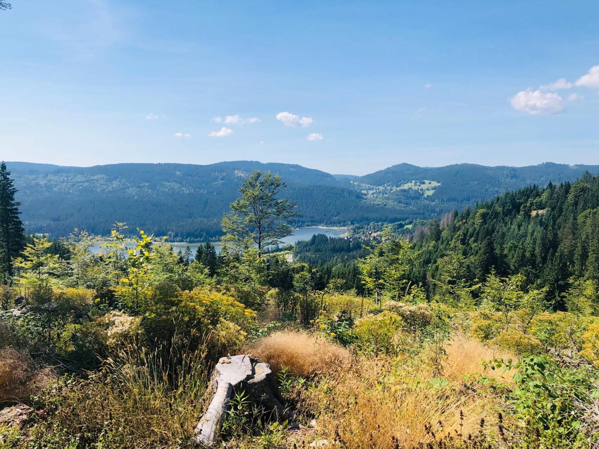 Am Berg Appartement Feldberg  Buitenkant foto
