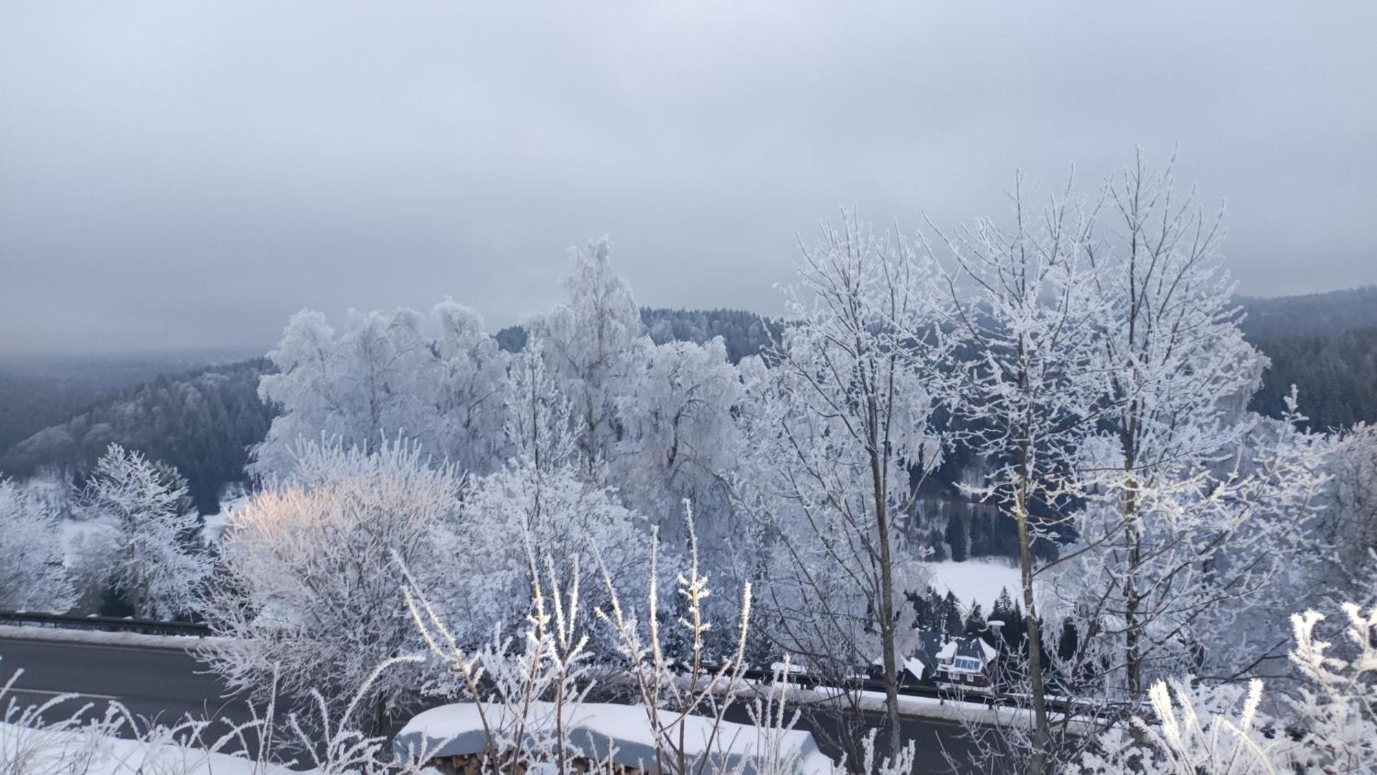 Am Berg Appartement Feldberg  Buitenkant foto