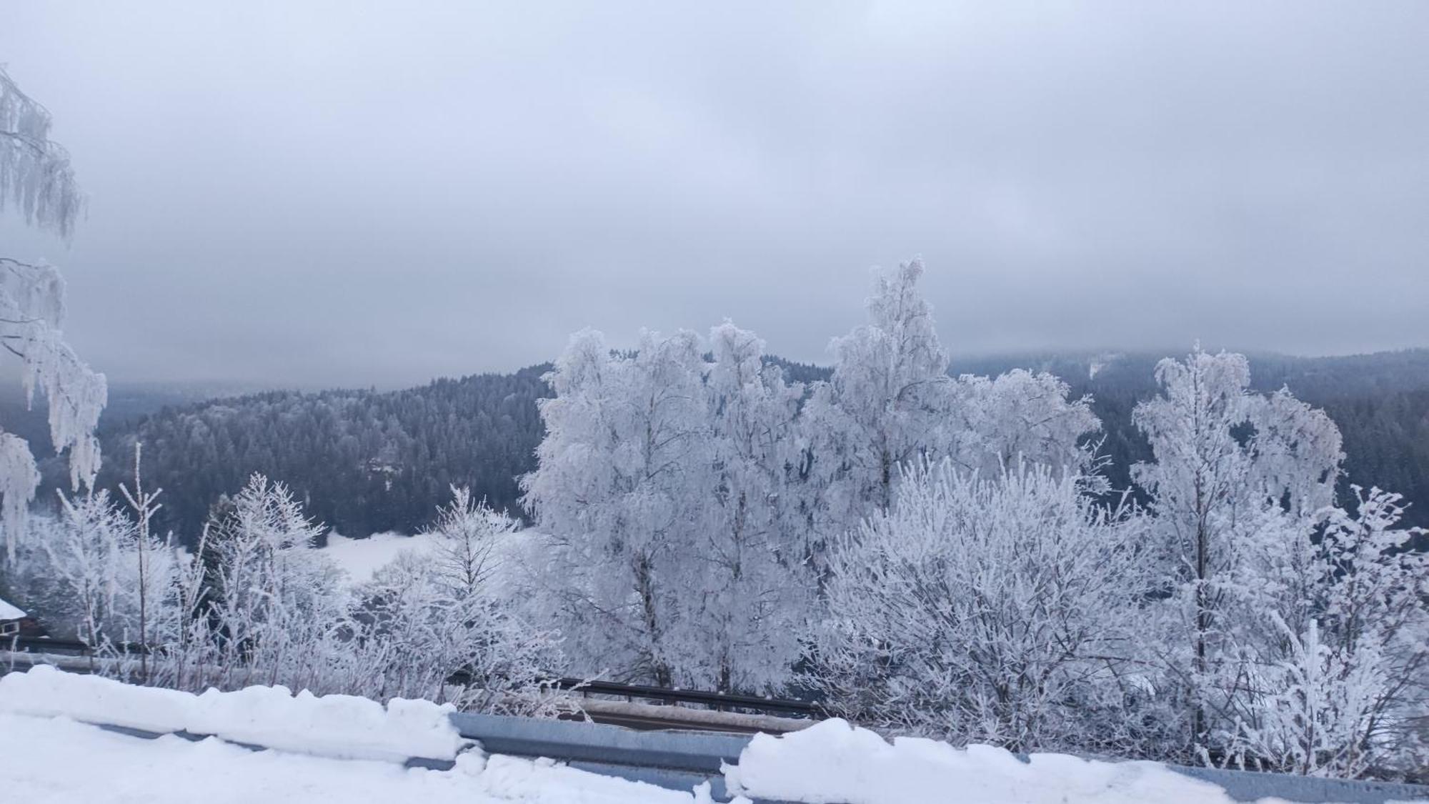 Am Berg Appartement Feldberg  Buitenkant foto