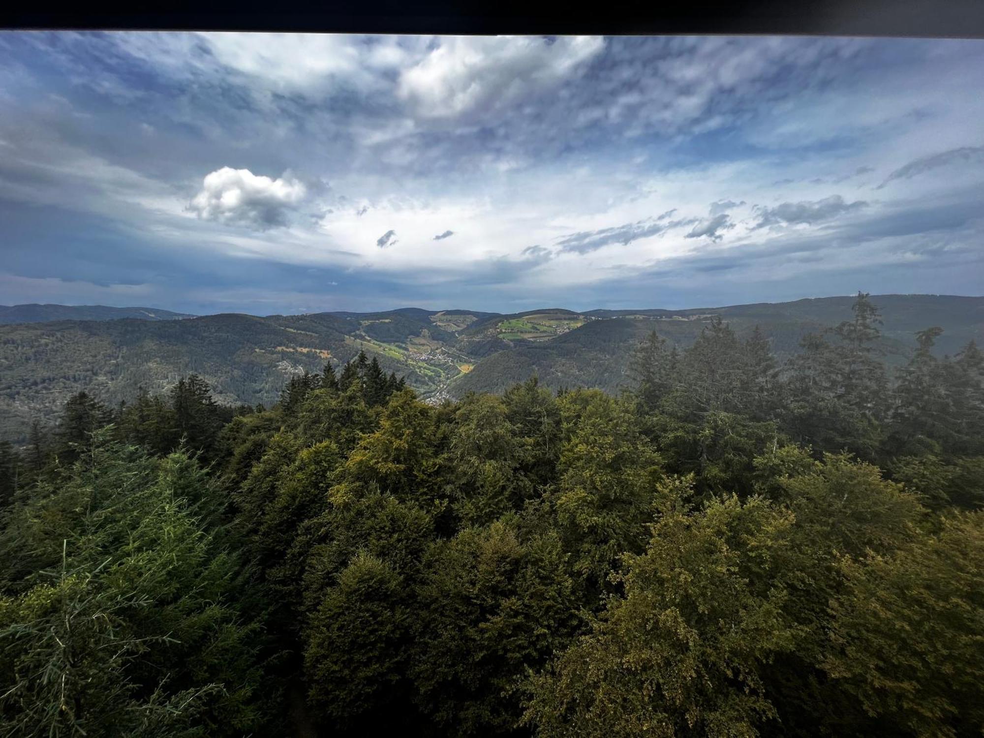 Am Berg Appartement Feldberg  Buitenkant foto